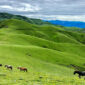 badimalika trek 1 85x85